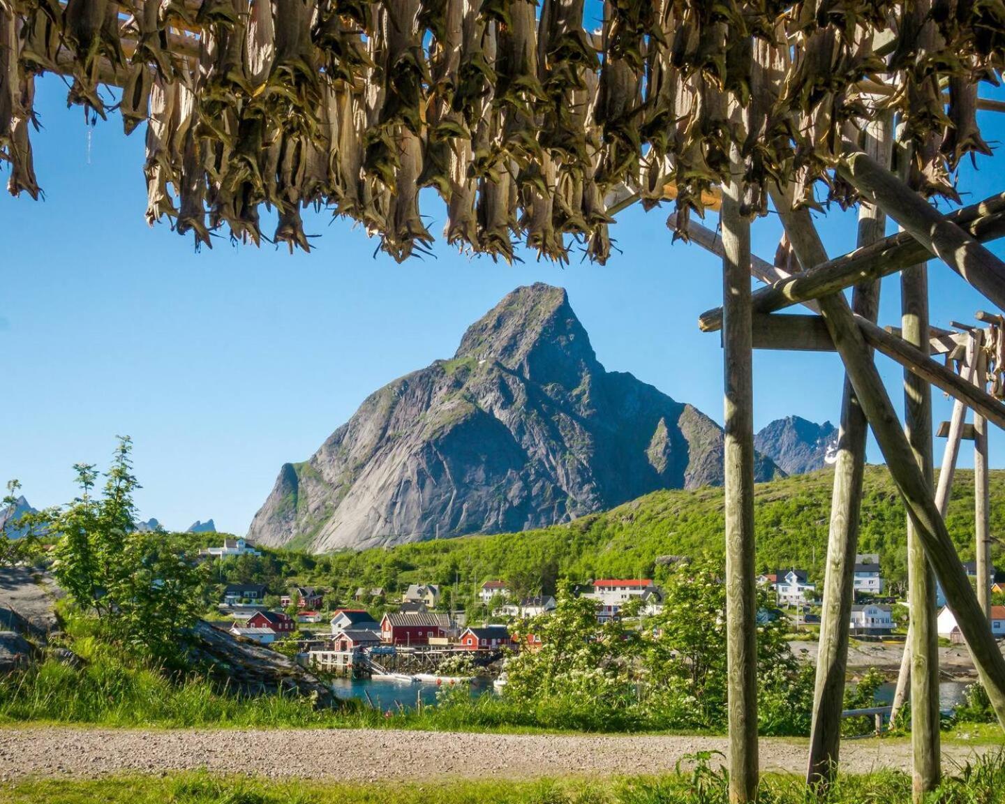 Reine Seaview Cabin Luaran gambar